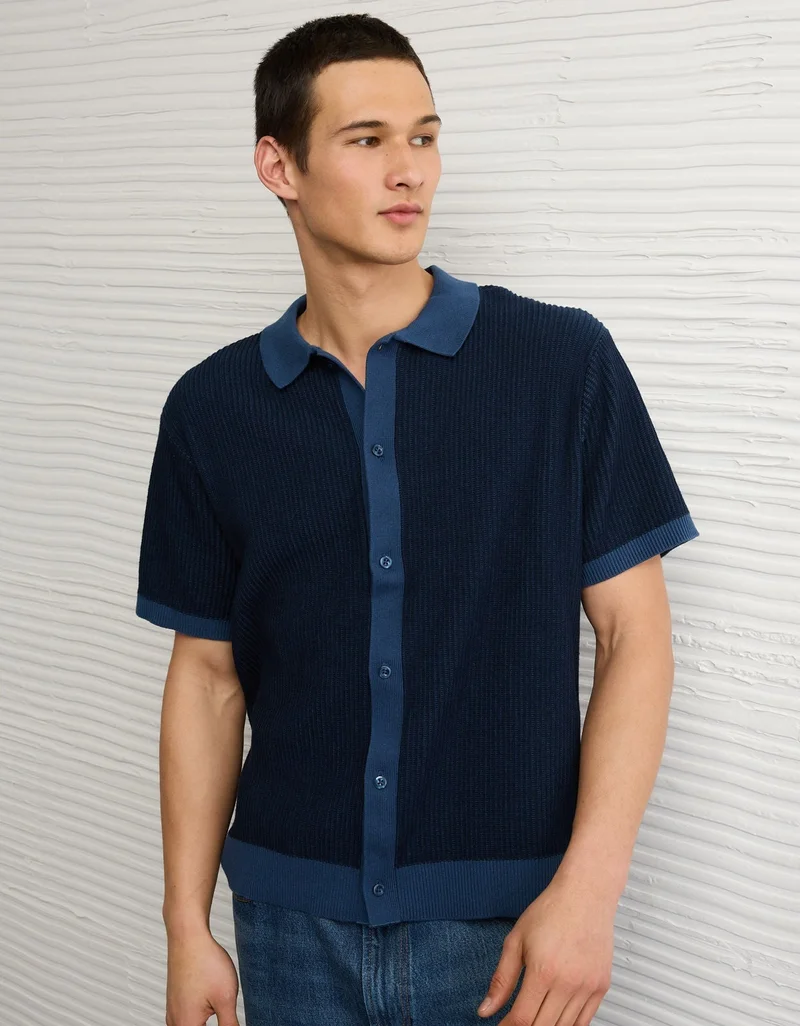 AE Striped Button-Up Sweater Polo